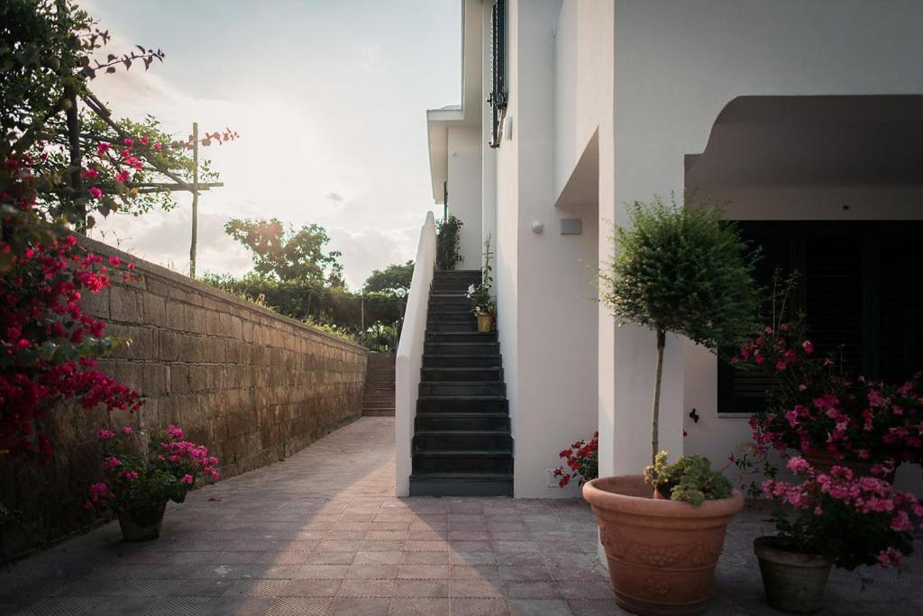 L'Agrumeto Procida Exteriör bild