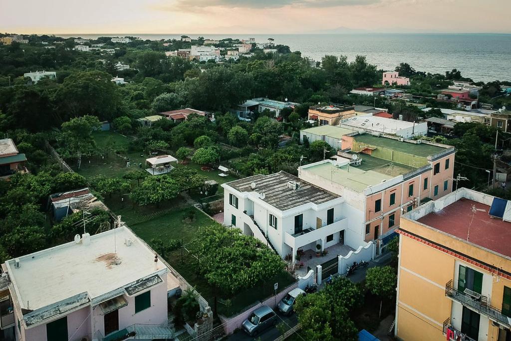 L'Agrumeto Procida Exteriör bild